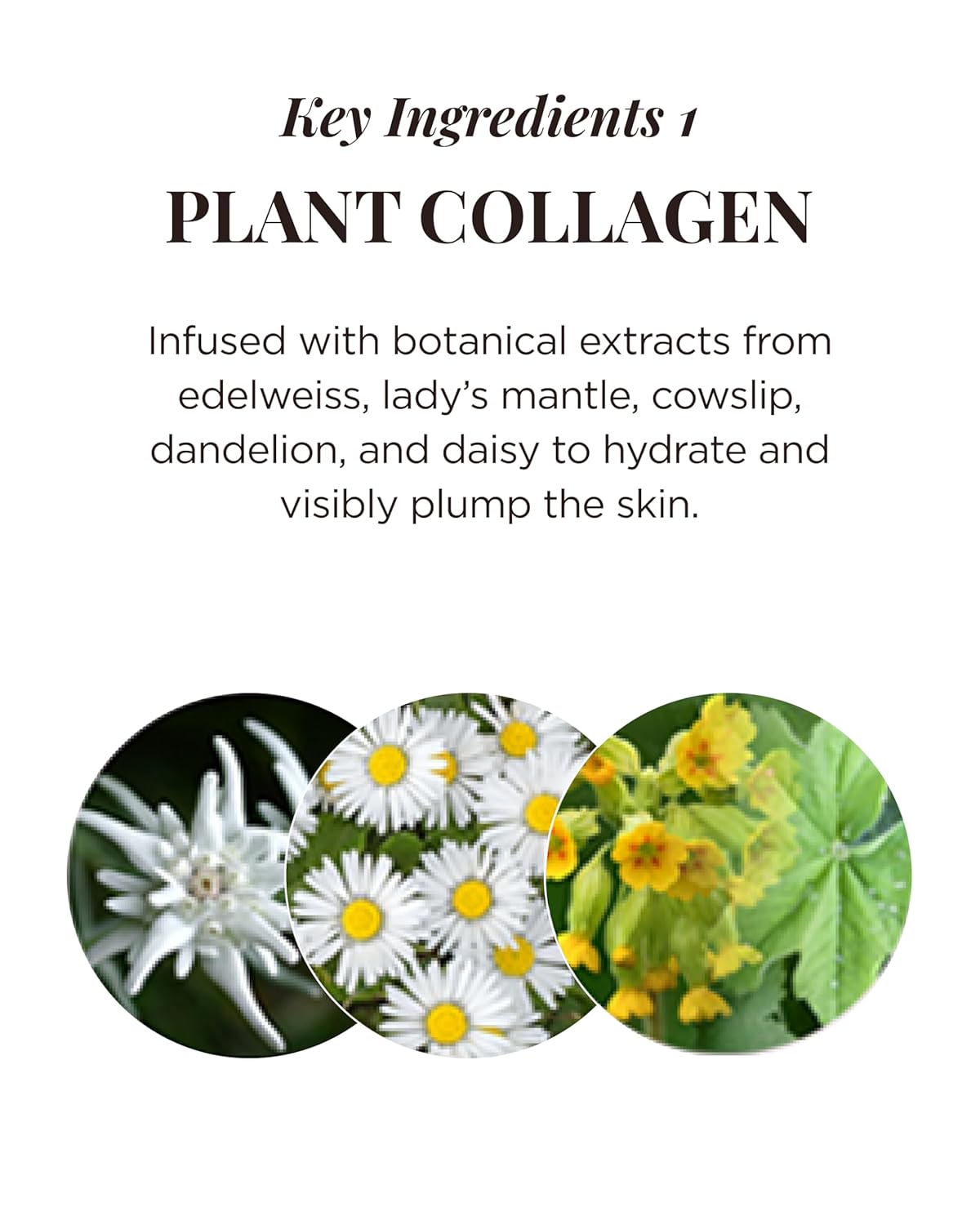 [Saintfran] Saintfran Royal Collagen Bubble Esencia 95ml
