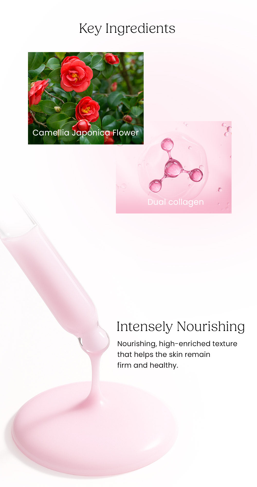 [Ollang Ollang] Camellia Collagen Ampolla 30ml